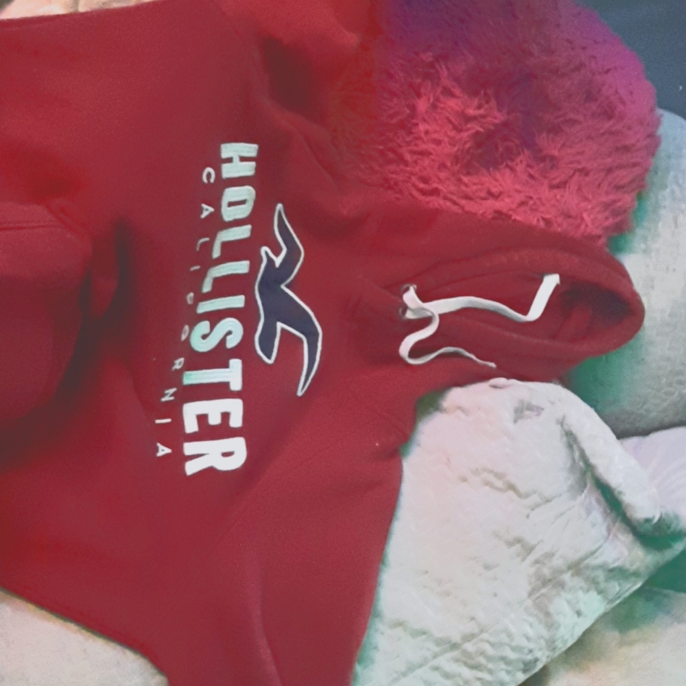 Hoodie I got from Banff  National Park. to small and could go to a good home